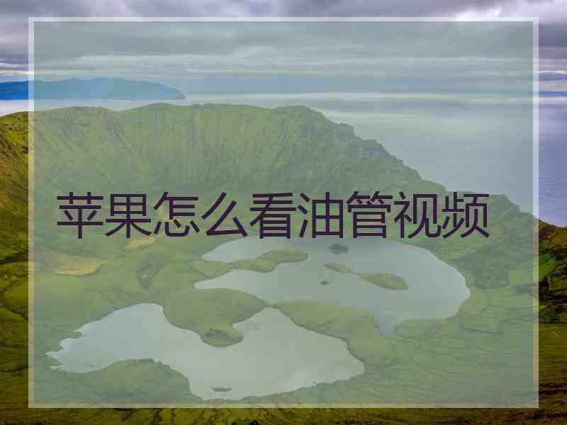 苹果怎么看油管视频