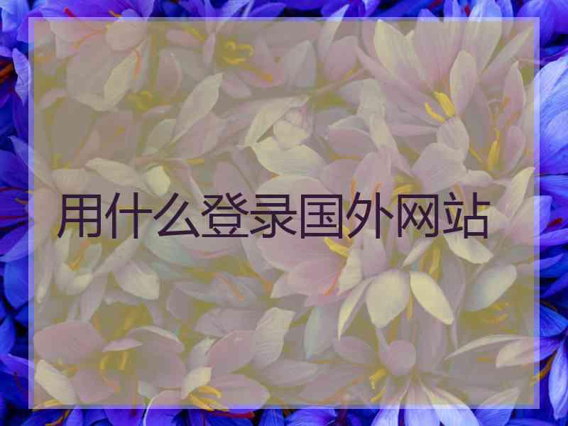 用什么登录国外网站