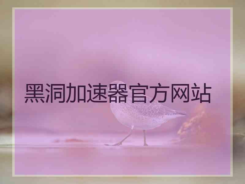 黑洞加速器官方网站