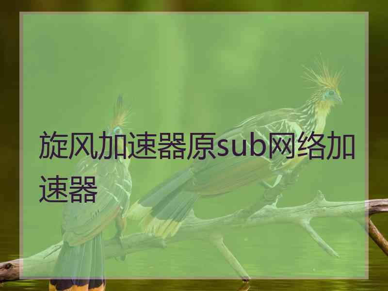 旋风加速器原sub网络加速器