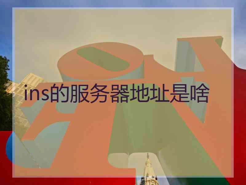 ins的服务器地址是啥