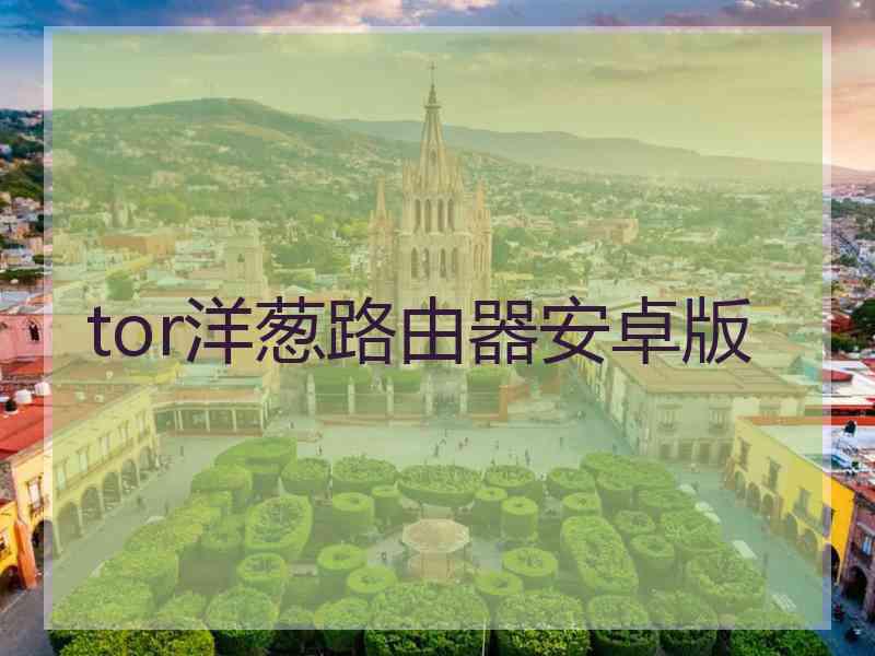 tor洋葱路由器安卓版