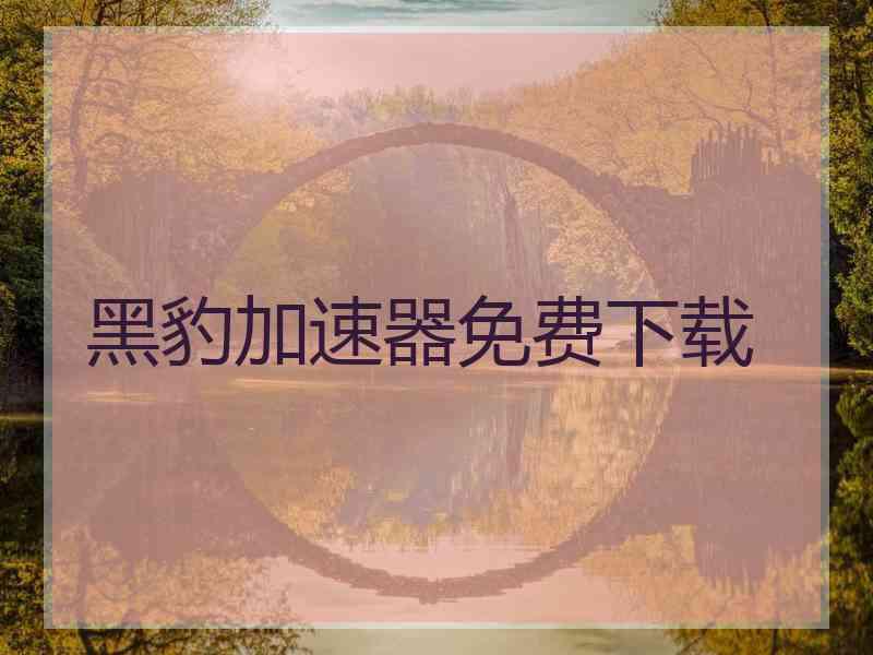 黑豹加速器免费下载