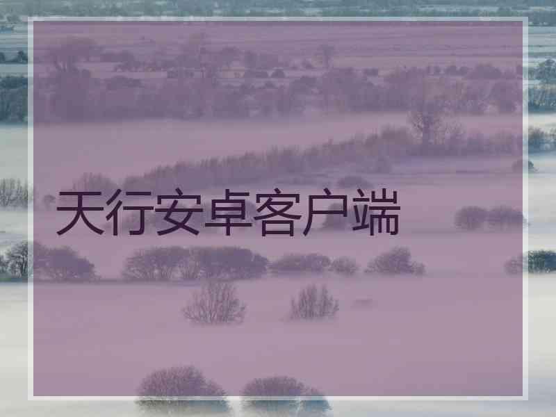 天行安卓客户端