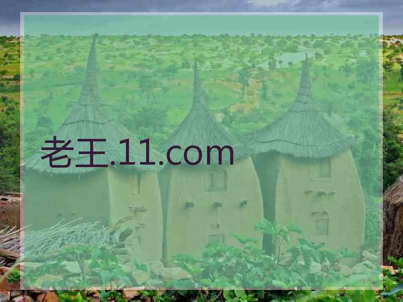老王.11.com