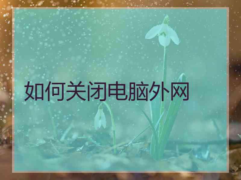如何关闭电脑外网
