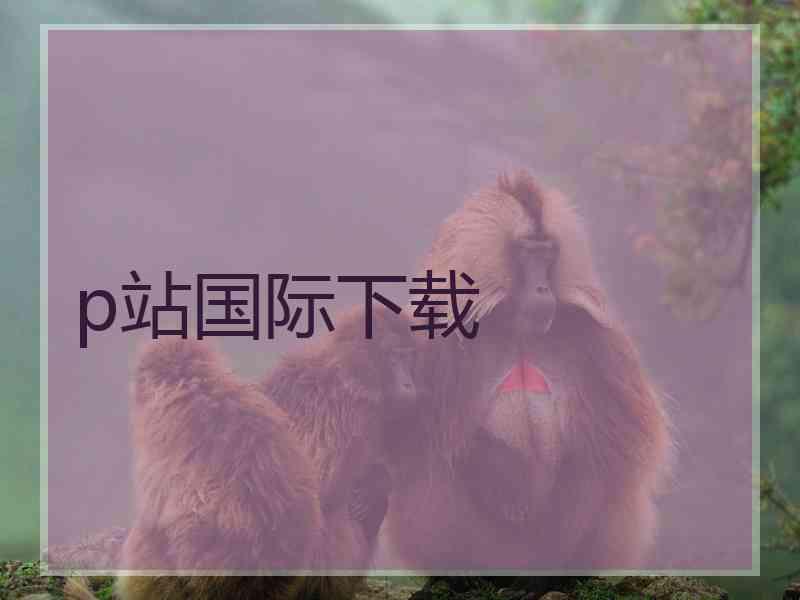 p站国际下载