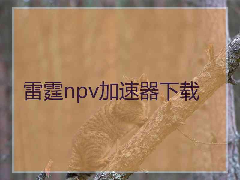 雷霆npv加速器下载