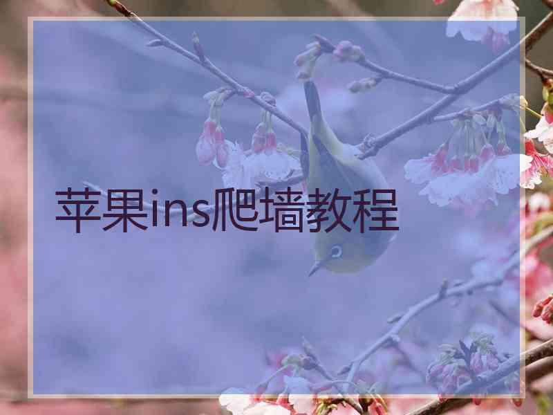 苹果ins爬墙教程