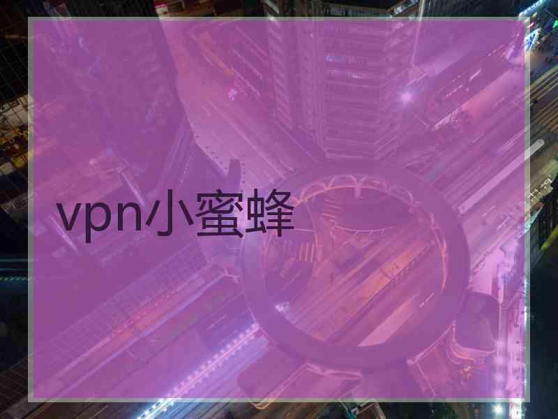 vpn小蜜蜂