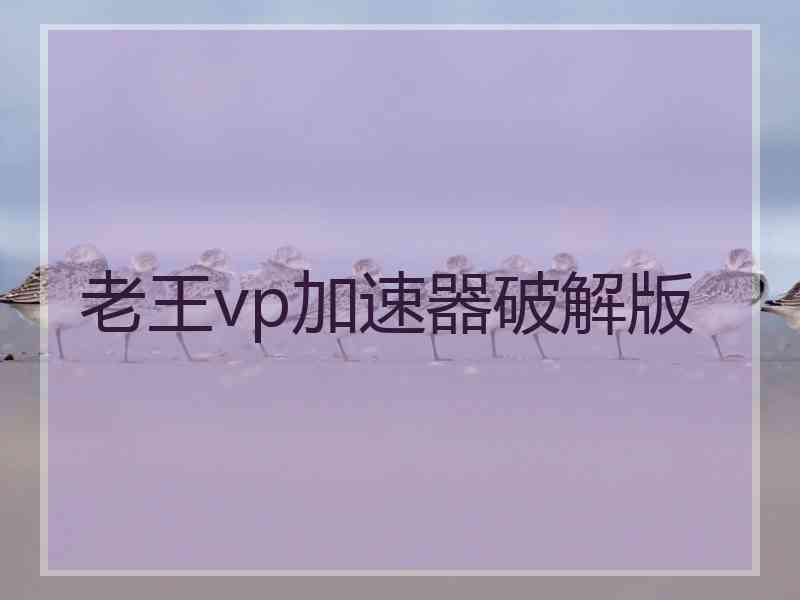 老王vp加速器破解版